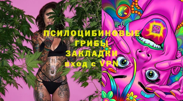 прущая мука Карталы