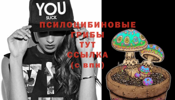 гашиш Карпинск