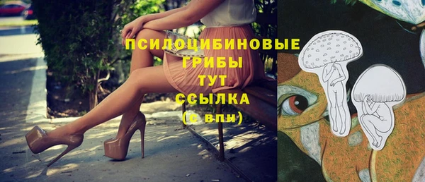PSILOCYBIN Касимов