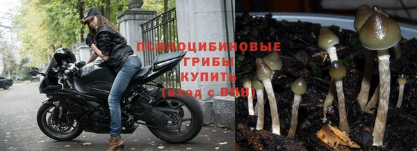 гашиш Карпинск
