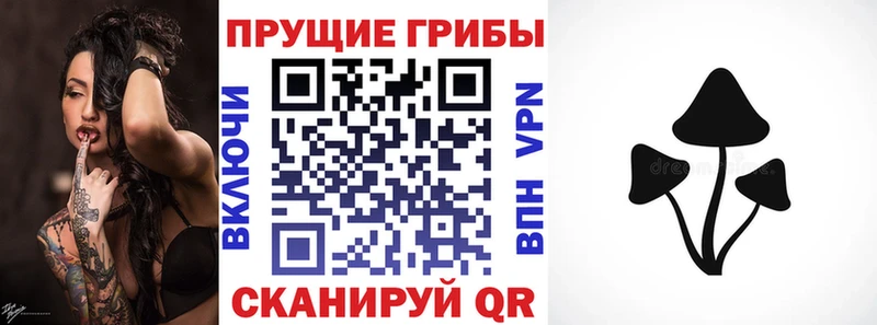 Купить закладки  Вичуга  Псилоцибиновые грибы Cubensis 